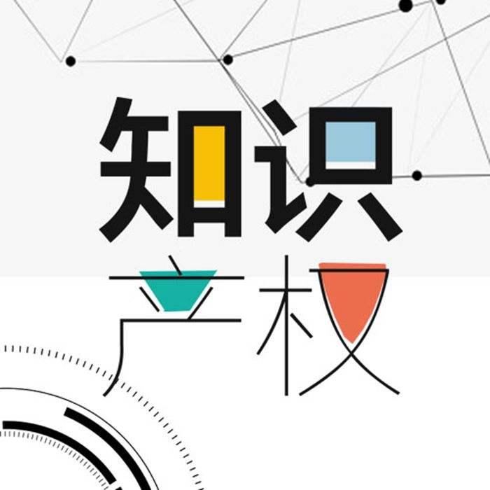 【知产案例】法国＂侵权＂鞋案华商逆转 中国品牌终获正名